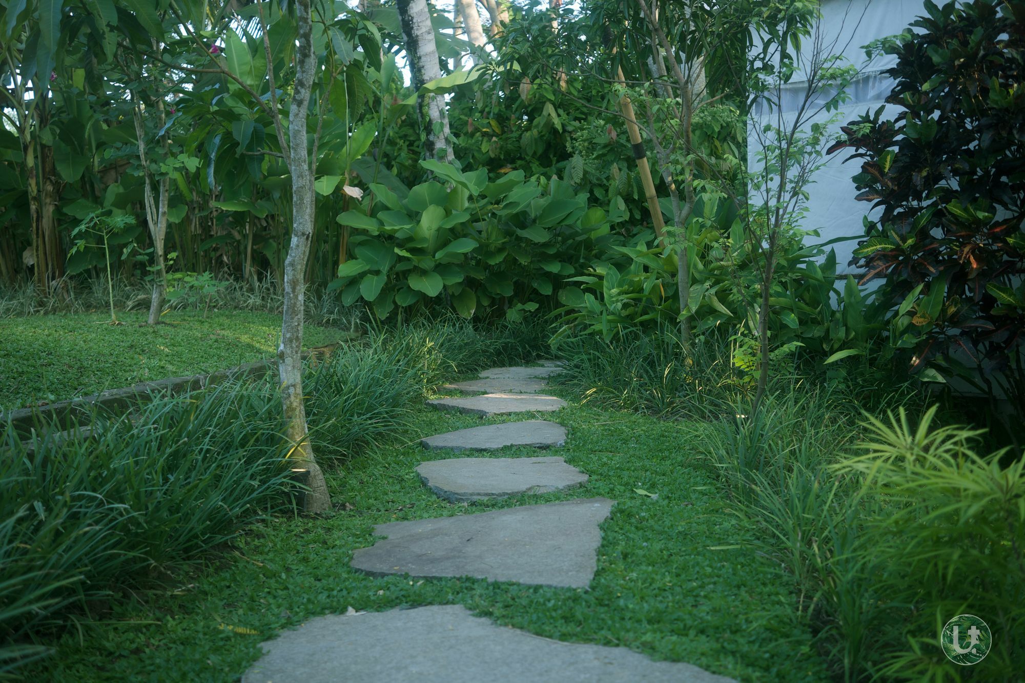 Ubud Tropical Esterno foto